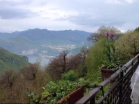 Il Castagneto 