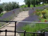 Agriturismo San Silvestro 