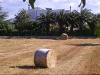 B&B Valle DItria 