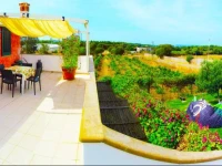 Kiteshomes 