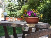 Athena Garden 