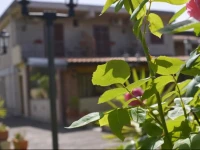 B&B Villa Sole dellEtna 