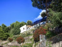 Vera e il Vervece 