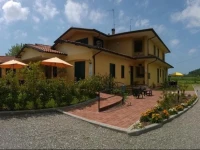 Cecco di Nara 