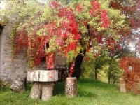 Rifugio Aquila Verde 