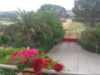 B&B Guirro Verde 