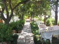 B&B Solacium 