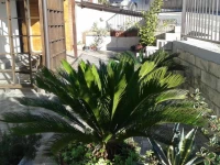 IL Pergolato 