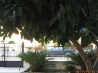 Holiday Home Via Del Mare 
