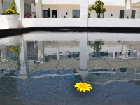 La Casa E Il Mare 4*