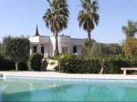 B&B Plathea 