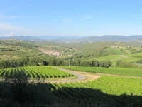 Winery Houses in Chianti 