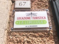 La Libellula 