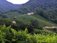 B&B Casa di Campagna 