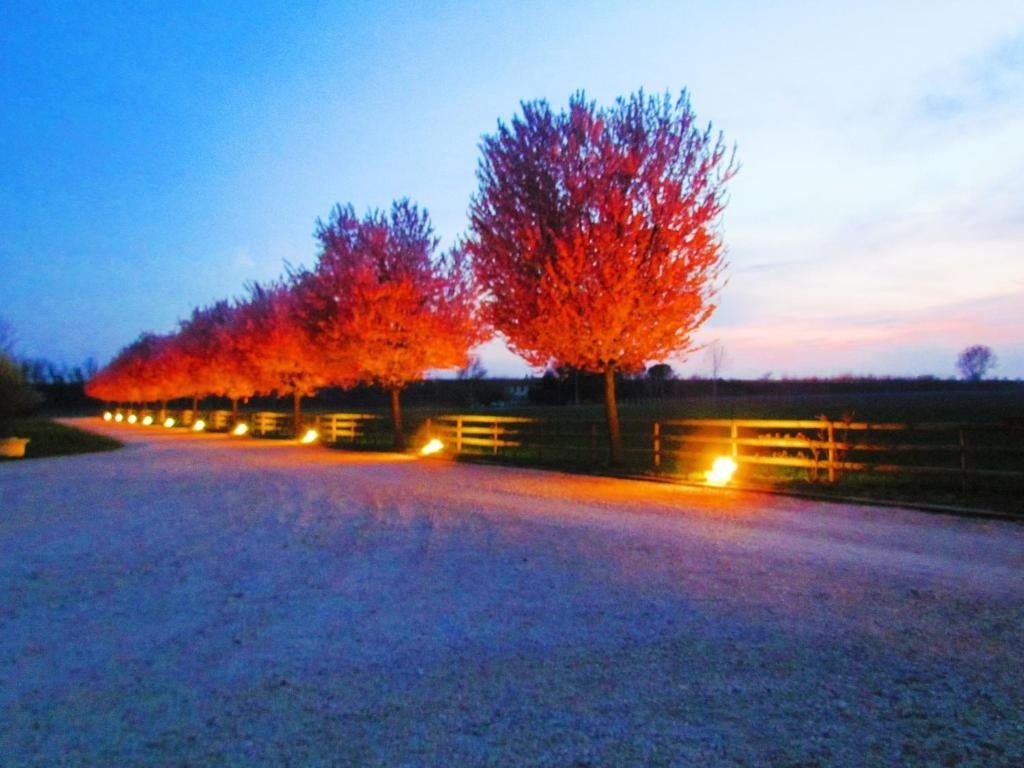 Agriturismo Le Cipressine 