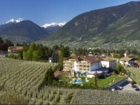 Hotel BurggrГ¤flerhof 