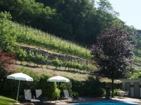 Agriturismo Sittnerhof 