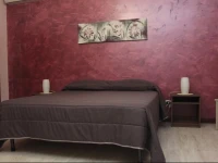 B&B Contesse 
