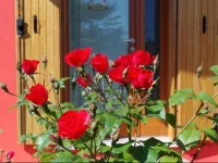 B&B Il Bocolo 