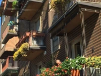 Bestapartment 