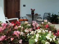 B&B Il Viandante 