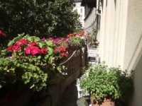 Casa di Stefano 