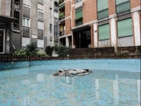 Fashion Apartment 