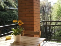 Lotus B&B 