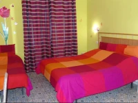 B&B Phenicusa 