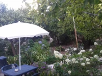 B&B Il Giardino Dei Mandarini 