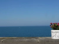 Il Mulino di Amleto - Bed and Breakfast letterario 