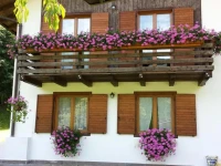 Chalet Monica 