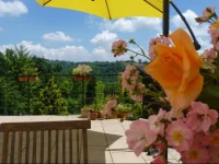 CaLuna B&B 