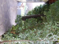 B&B Quarantia 8 