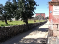 Masseria Curatori 