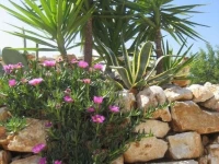Masseria Due Torri 
