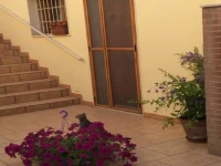 Solmar Casa Vacanze 