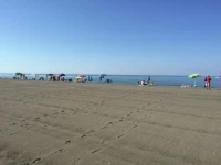 La Lavanda 