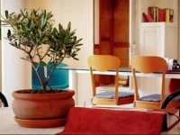Ai Quattro Ulivi B&B 