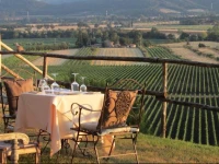 Wine Resort Conti di San Bonifacio 