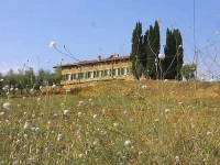 Fattoria Nuova Pievanella 