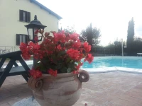 Il Poggio del Sole 