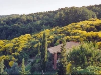 Landhaus Ginepro Rosso 