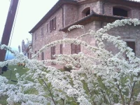Agriturismo Il Poggiolo 
