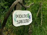 Agriturismo Podere San Pietro 