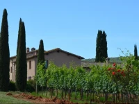 Borgo dГ© Brandi 
