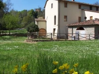 Agriturismo Montassi E Bruscolaio 