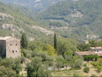 Cardaneto 