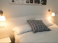 Bucci 54 