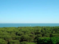 Villa Regina - MarePineta Resort 